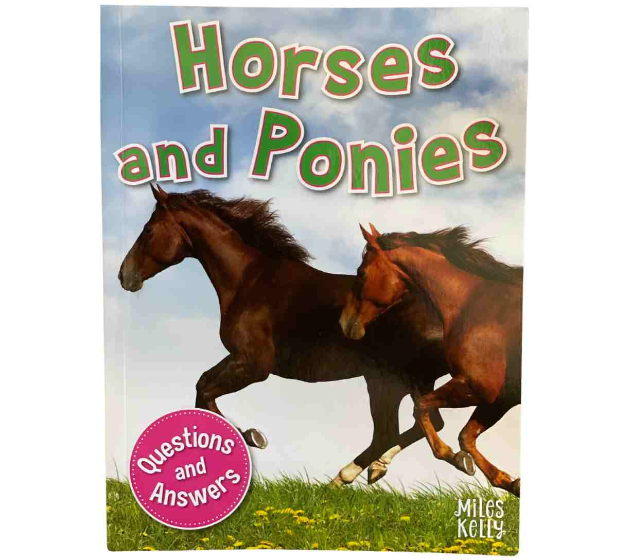 Horses and Ponies (Questions and Answers)