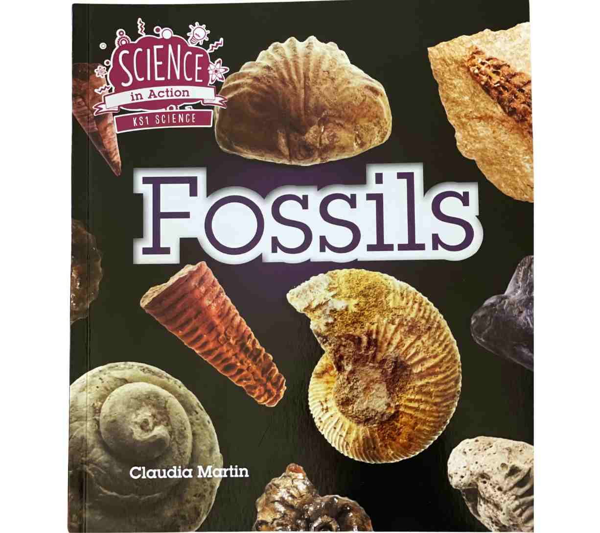 Science in Action KS1 - Fossils