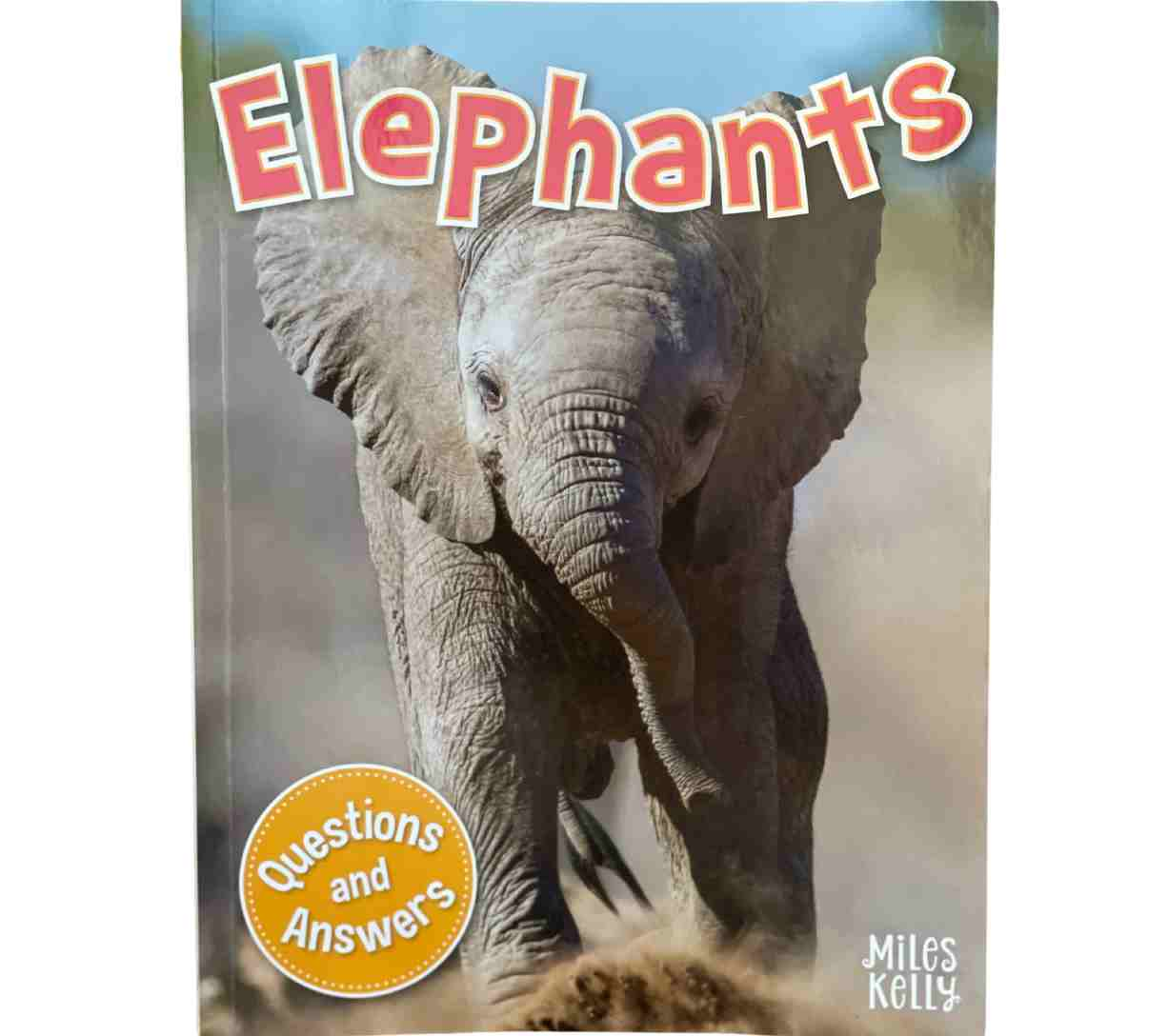 Elephants (Questions and Answers)