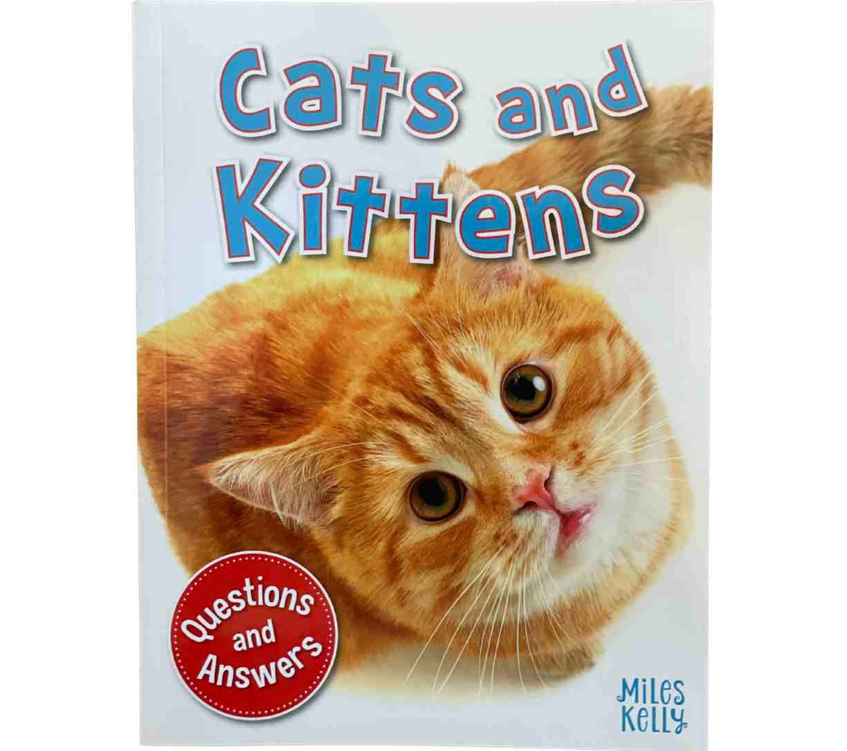 Cats and Kittens (Questions and Answers)