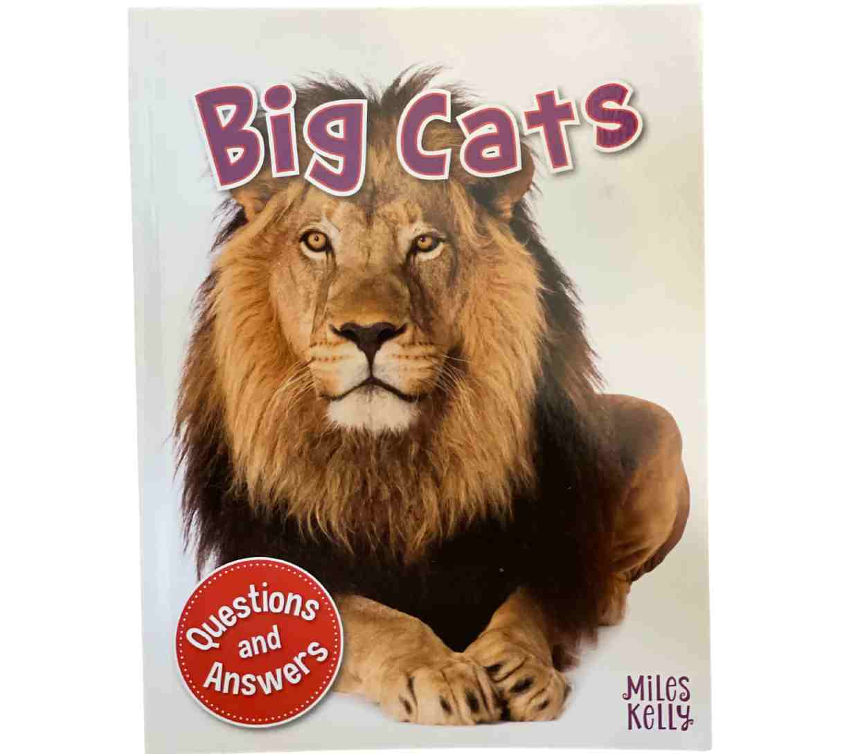 Big Cats (Questions and Answers)