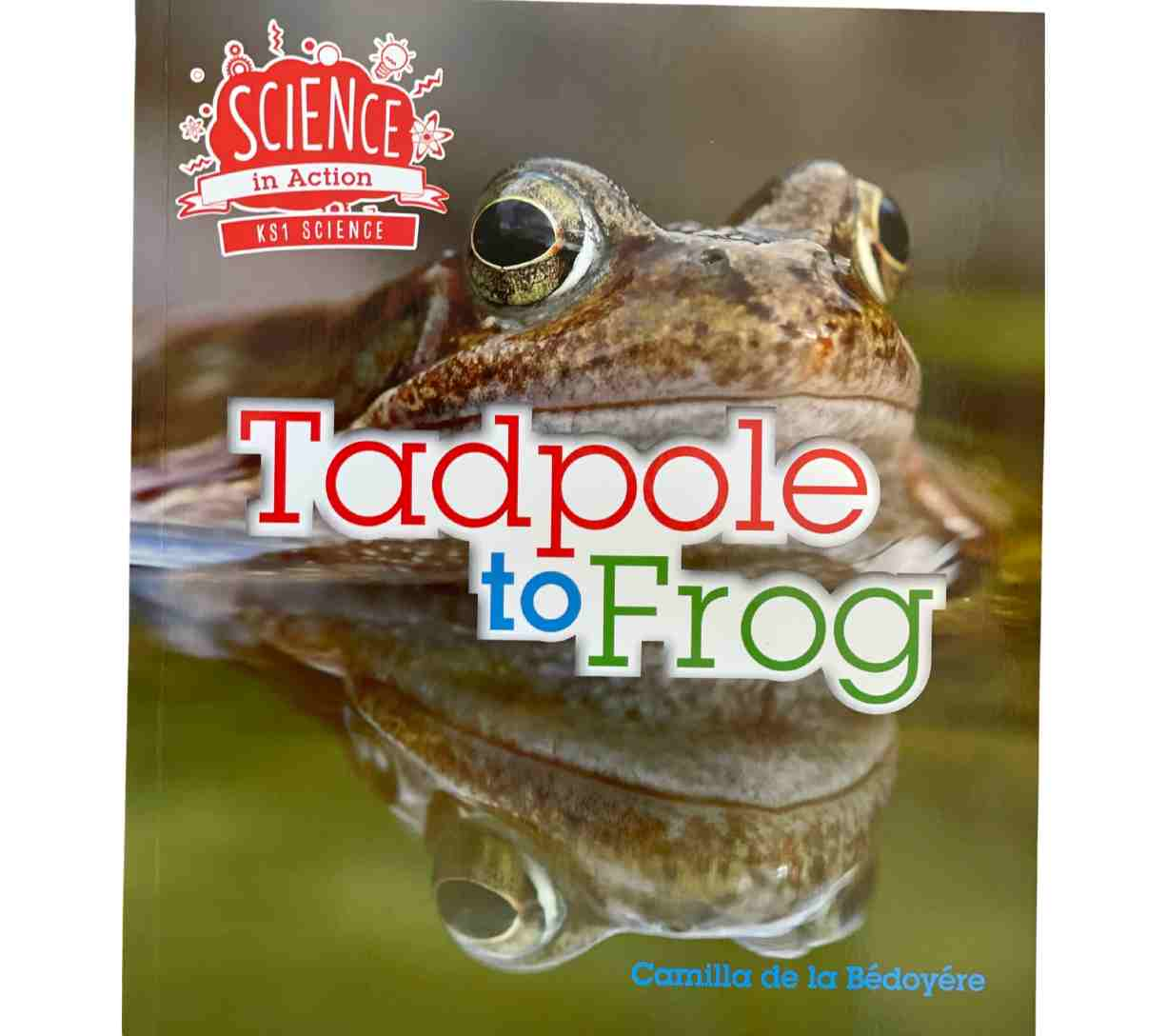 Science in Action KS1 - Tadpole to Frog