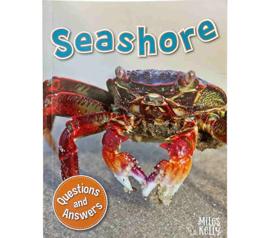 Seashore (Questions and Answers)