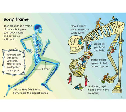 Usborne Beginners - Your Body