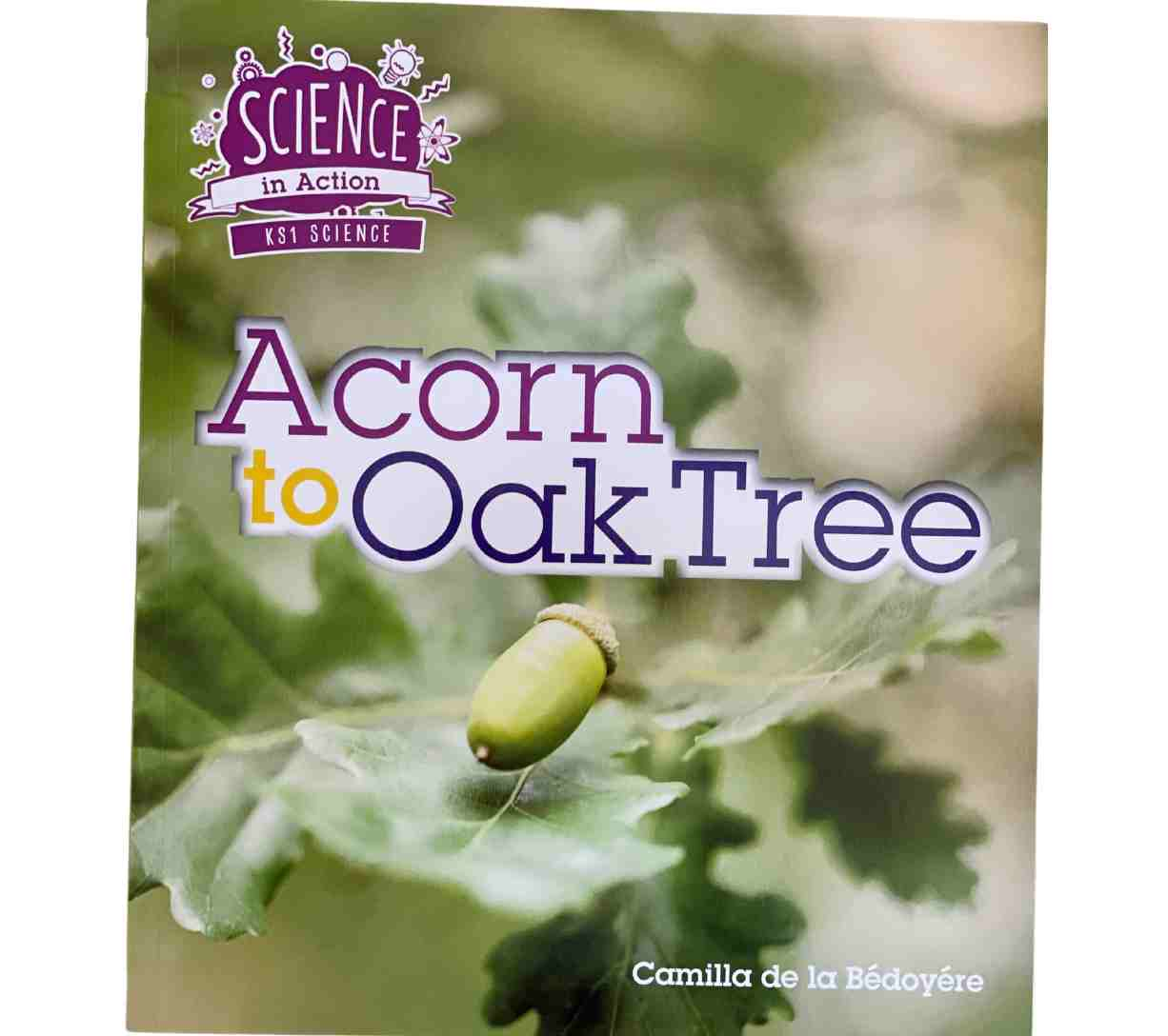 Science in Action KS1 - Acorn to Oak Tree