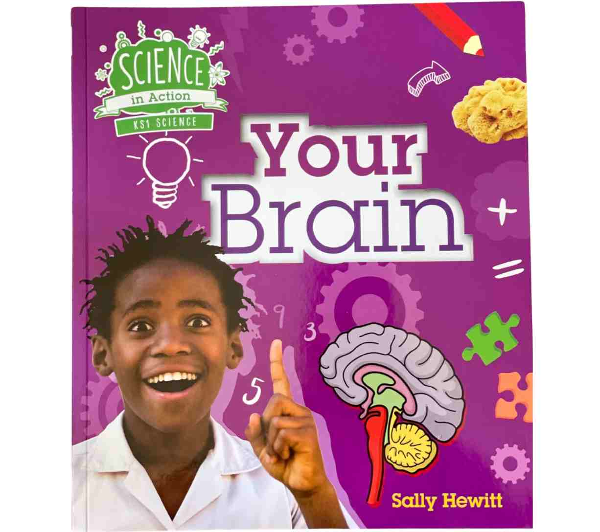 Science in Action KS1 - Your Brain