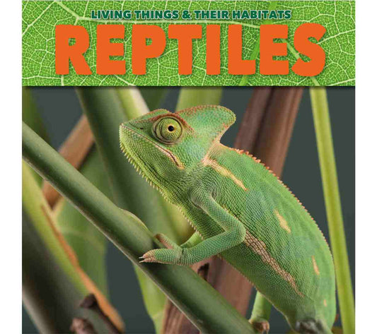 Living Things and their Habitats - Reptiles (Key Stage 1)