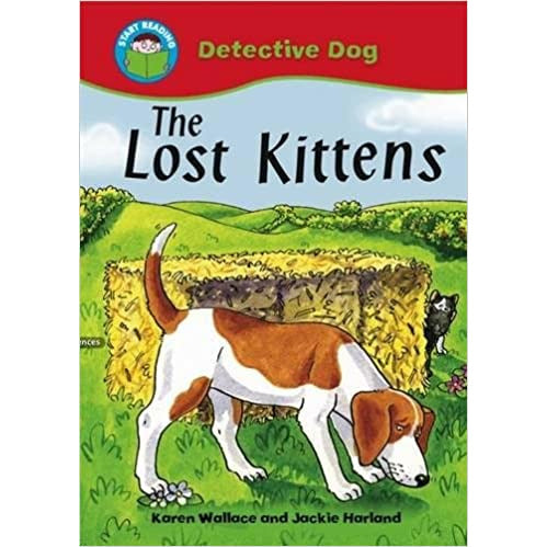 Start Reading - Detective Dog: The Lost Kittens (Level 5)